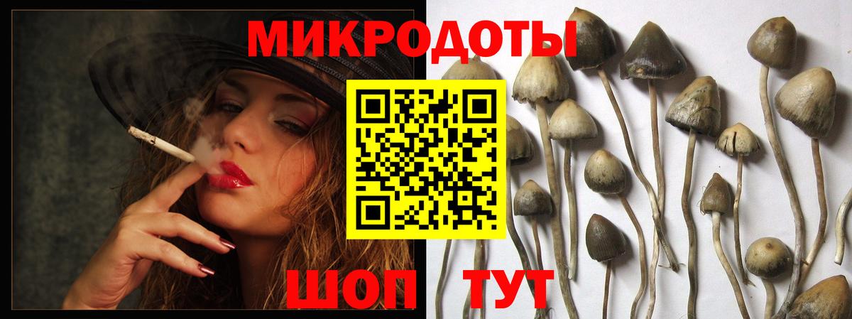 Псилоцибиновые грибы GOLDEN TEACHER Находка